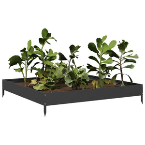 Hochbeet Schwarz 100X100X18,5 Cm Stahl/Schwarz